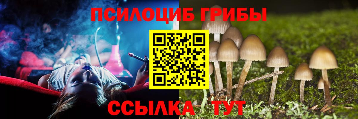 Галлюциногенные грибы мицелий Волжск